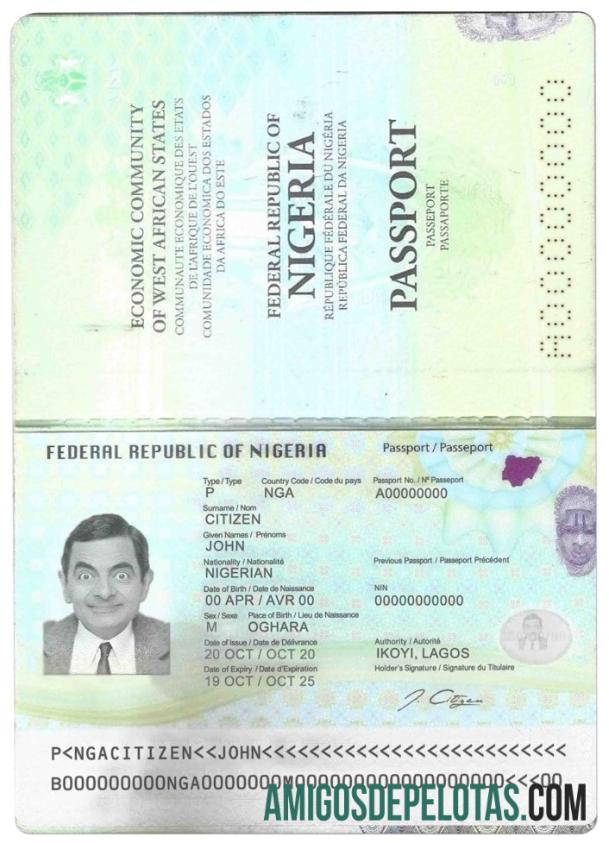 Passaporte da Nigéria (2019 – presente) amostra